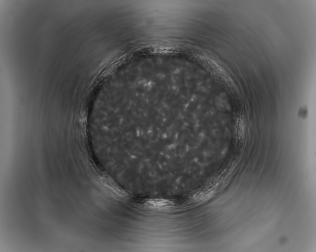 X0000100200557200806131232