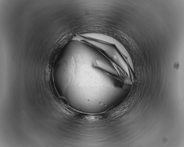 X0000100200558200806131232