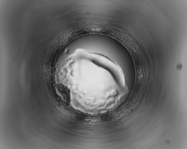 X0000100200559200806131232