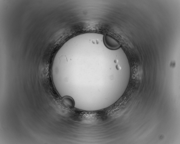 X0000100200560200806131232