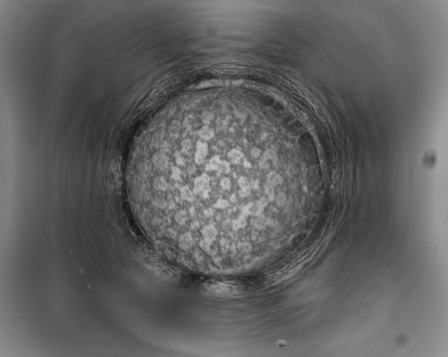 X0000100200561200806131232