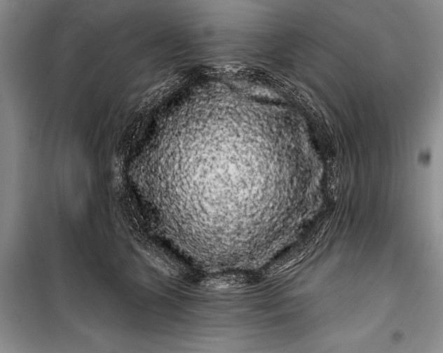 X0000100200563200806131232