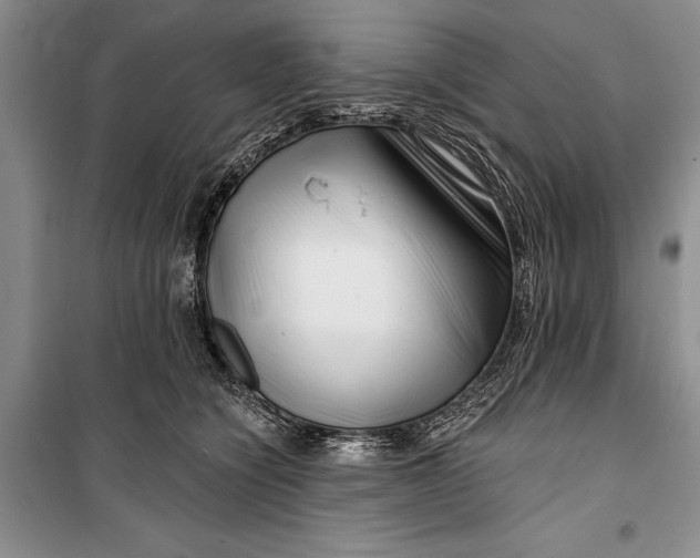 X0000100200564200806131232