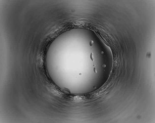 X0000100200566200806131232