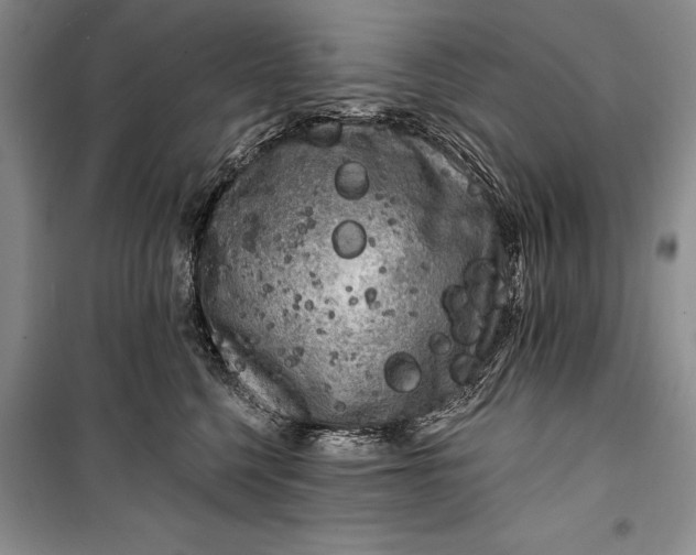 X0000100200568200806131232