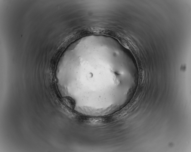 X0000100200569200806131232