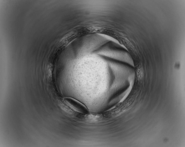 X0000100200570200806131232