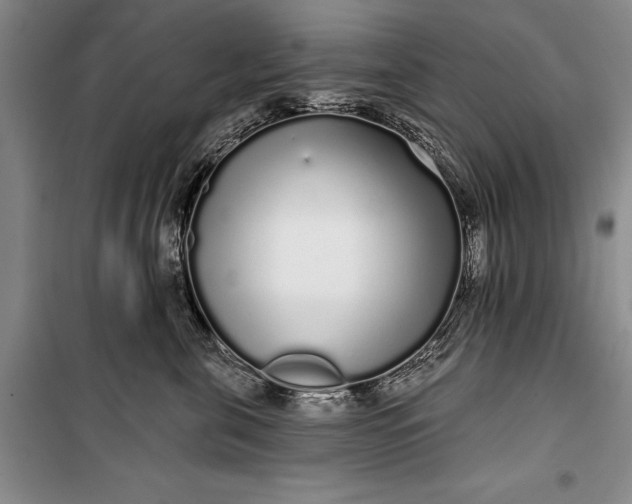 X0000100200571200806131232