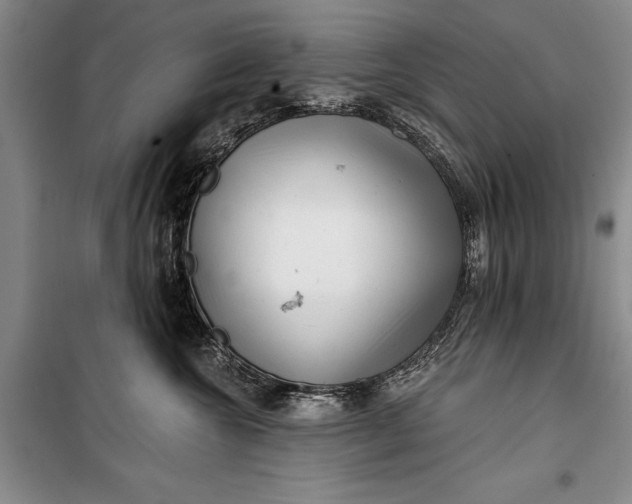 X0000100200572200806131232