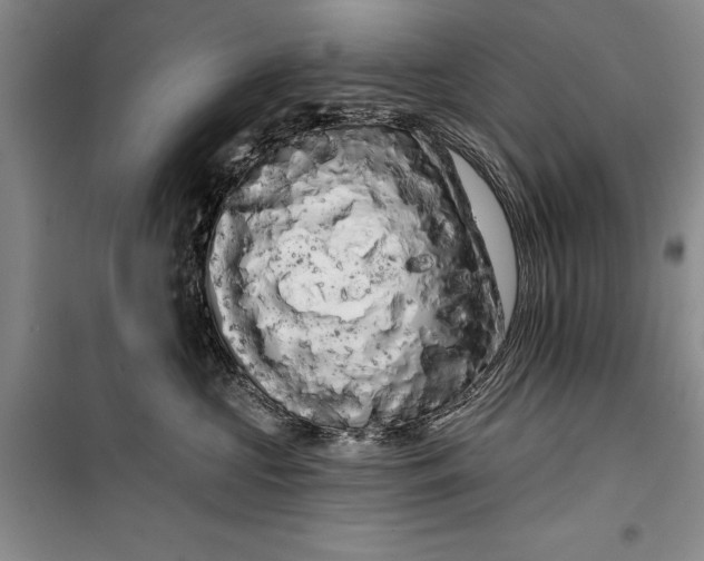 X0000100200573200806131232