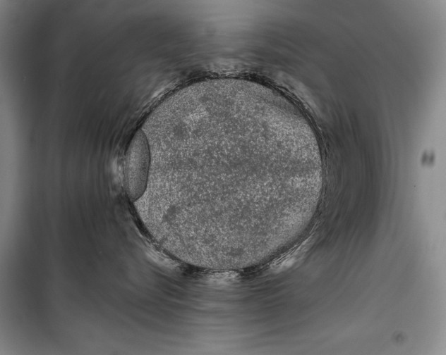 X0000100200576200806131232