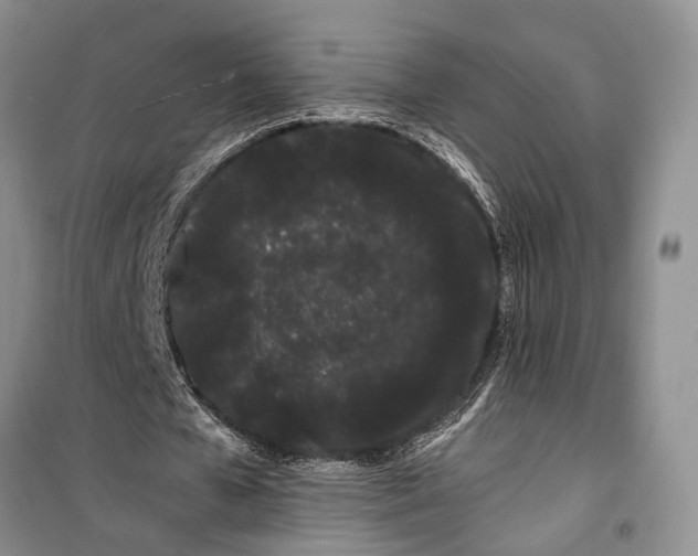 X0000100200577200806131232