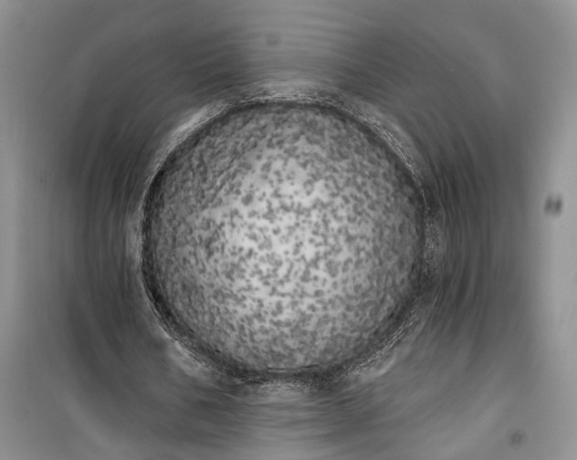 X0000100200578200806131232