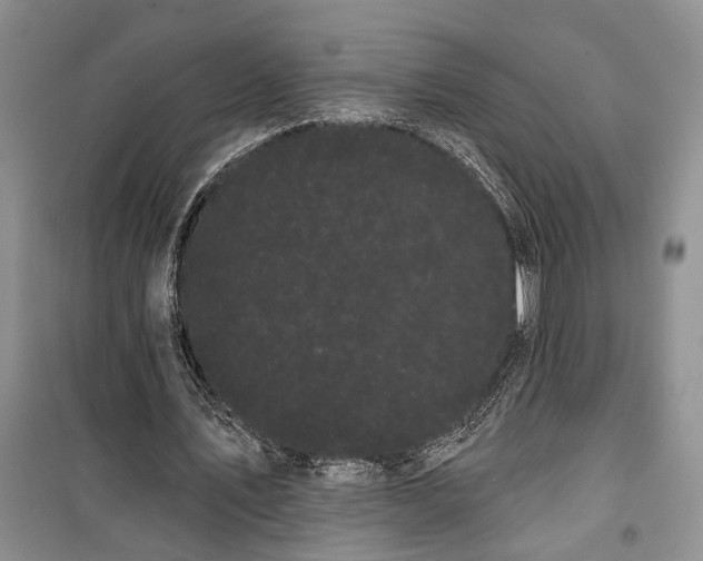 X0000100200579200806131232