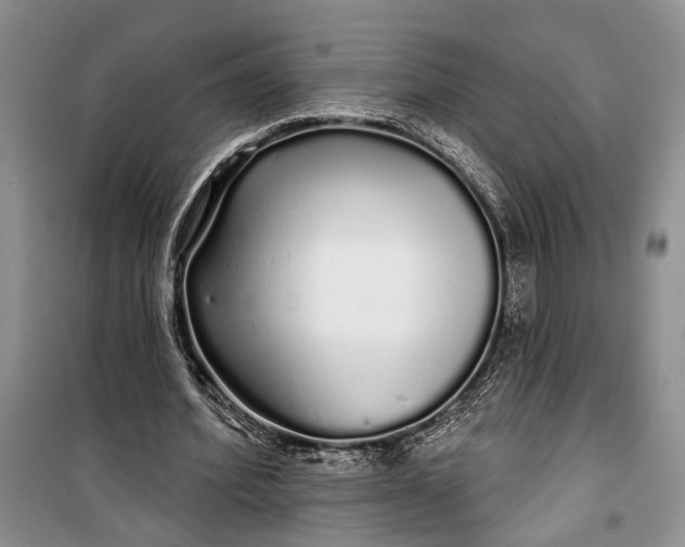 X0000100200580200806131232