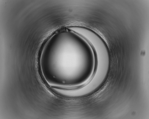 X0000100200581200806131232