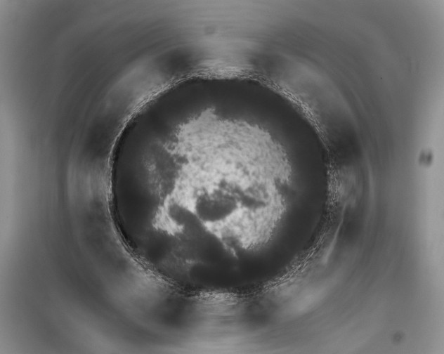 X0000100200582200806131232