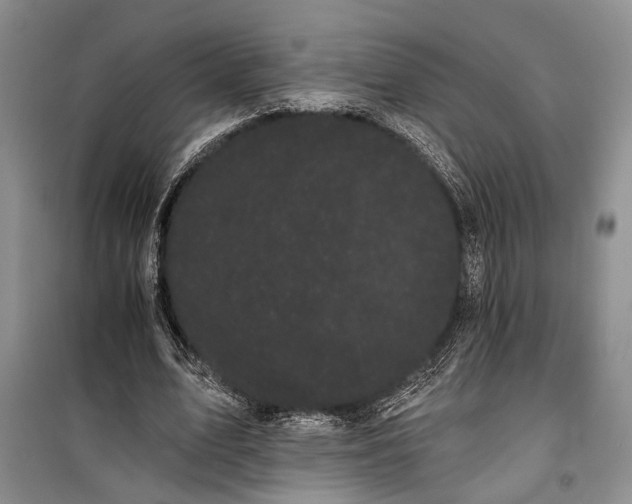 X0000100200583200806131232