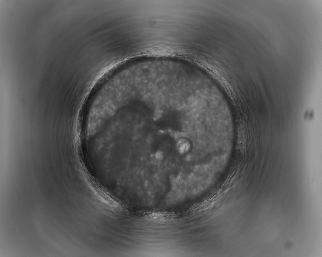 X0000100200584200806131232