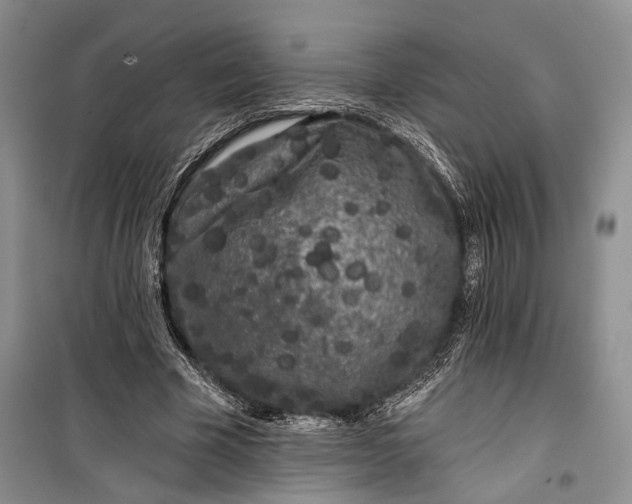 X0000100200585200806131232