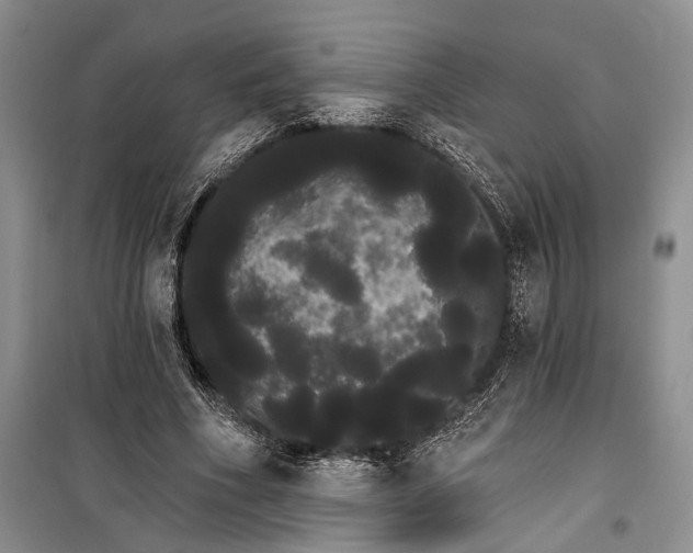 X0000100200586200806131232