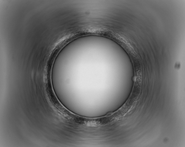 X0000100200587200806131232