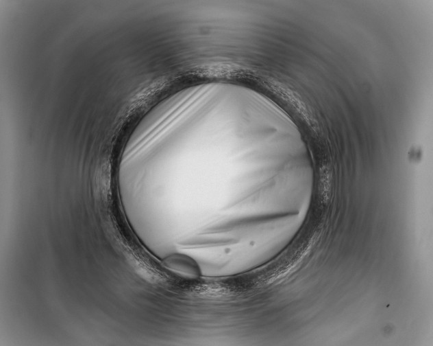 X0000100200589200806131232