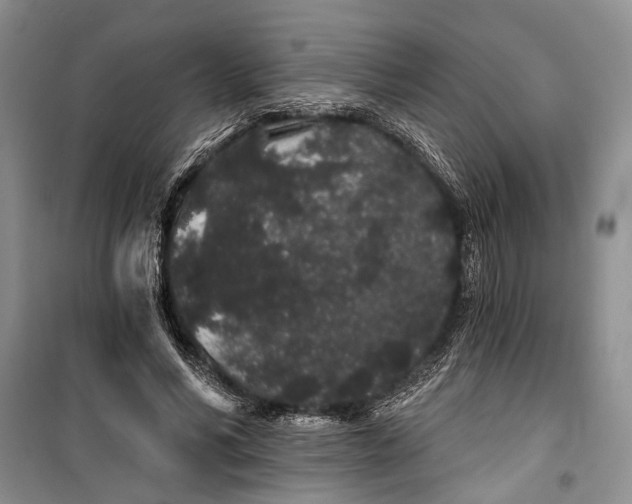 X0000100200590200806131232