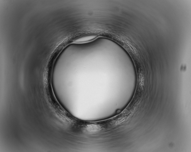 X0000100200591200806131232