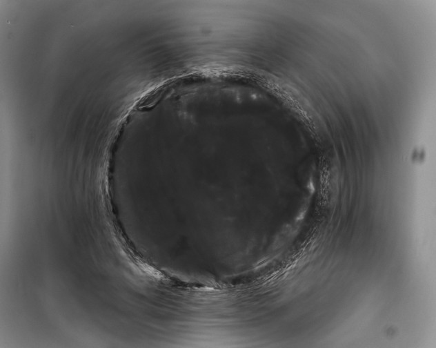 X0000100200592200806131232