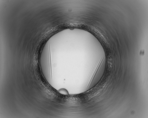 X0000100200593200806131232