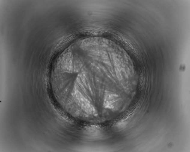 X0000100200594200806131231