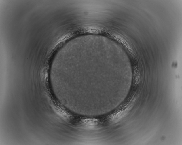 X0000100200595200806131231