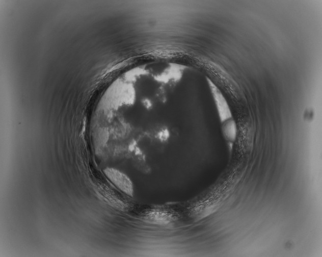 X0000100200596200806131231