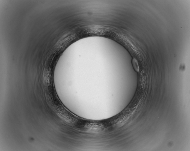 X0000100200597200806131231