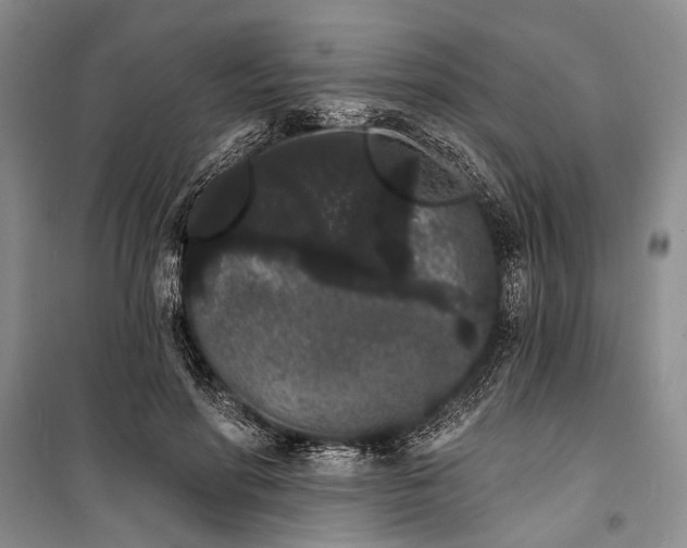 X0000100200598200806131231