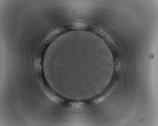 X0000100200599200806131231