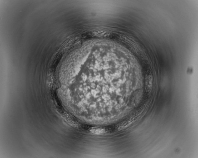 X0000100200602200806131231