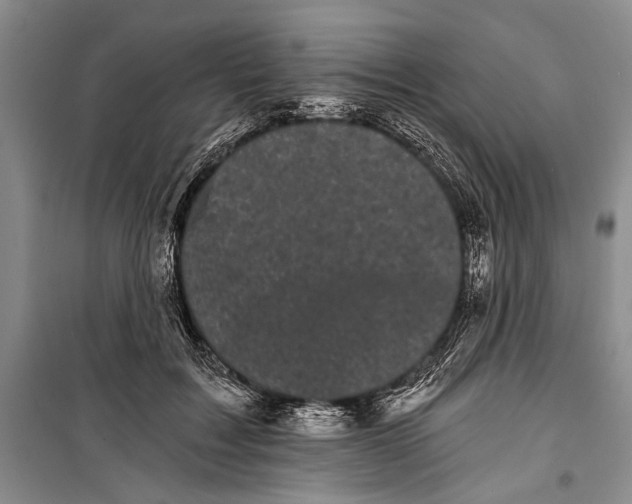 X0000100200603200806131231