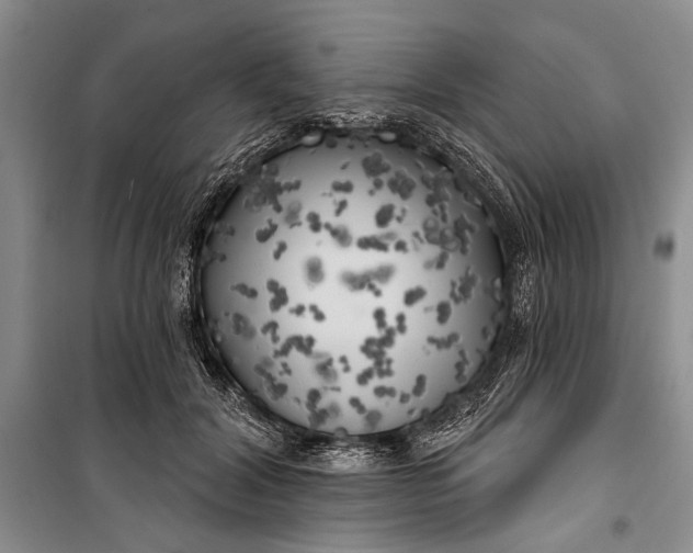 X0000100200604200806131231