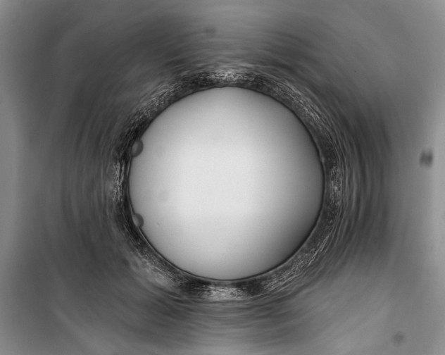 X0000100200605200806131231