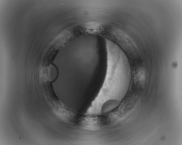 X0000100200606200806131231