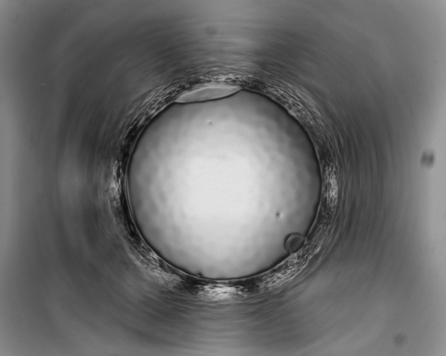 X0000100200607200806131231