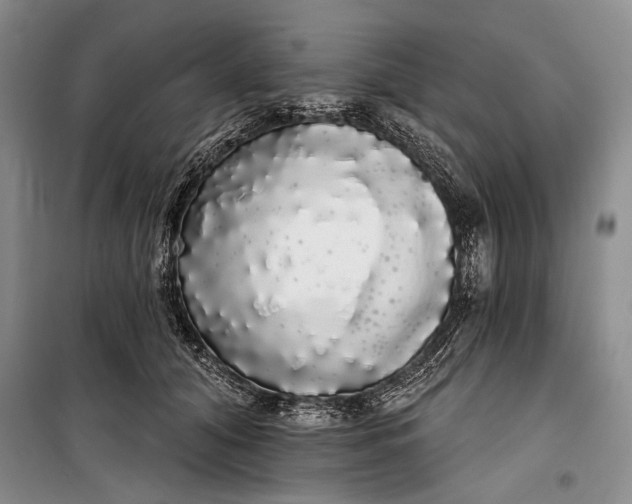 X0000100200608200806131231