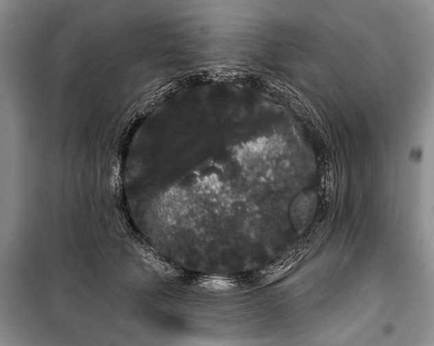 X0000100200610200806131231