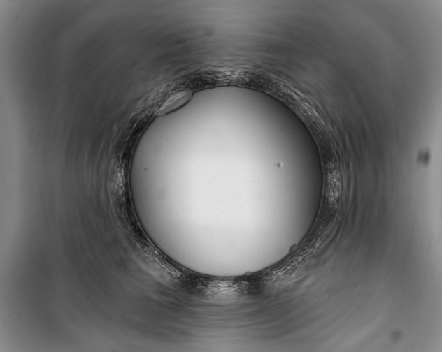 X0000100200613200806131231