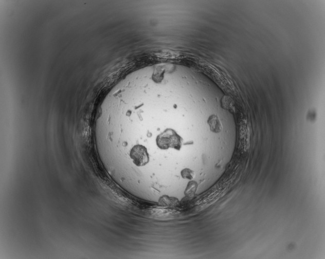 X0000100200614200806131231