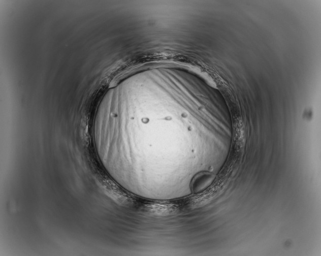 X0000100200615200806131231