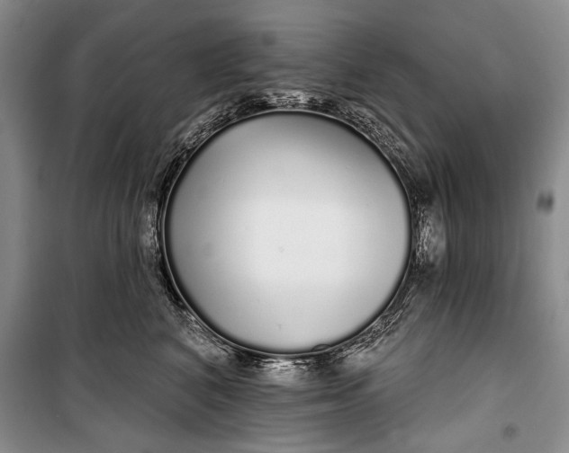 X0000100200616200806131231