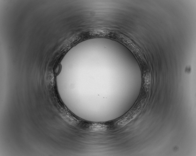 X0000100200617200806131231